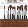 imageSooez 12Pcs Professional Art Paint Brushes Set 12 DifferentSize Brush for Acrylic Oil Watercolor 7 Shapes for Body Nail Face Painting Arts Crafts Supplies for Beginners Artists Adult Kids