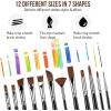 imageSooez 12Pcs Professional Art Paint Brushes Set 12 DifferentSize Brush for Acrylic Oil Watercolor 7 Shapes for Body Nail Face Painting Arts Crafts Supplies for Beginners Artists Adult Kids