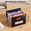 imageSooez Accordion File Organizer 13 Pockets Expanding File Folder Portable Monthly Paper Bill Tax Receipt Organizer Letter A4 Size Document Holder with Blank Labels BlackPink